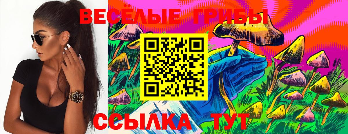Галлюциногенные грибы Magic Shrooms  Псилоцибиновые грибы Psilocybe  Вязьма  наркошоп  Вход с VPN 